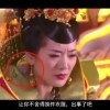 49图库电脑版下载网址